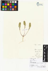 SW_BNB_s3070-02487_IMG-0000000001