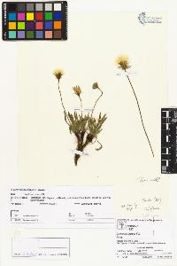 SW_BNB_s3070-02488_IMG-0000000001