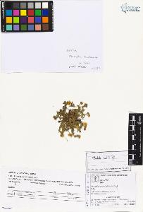 SW_BNB_s3070-02491_IMG-0000000001