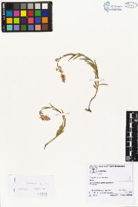 SW_BNB_s3070-02493_IMG-0000000001