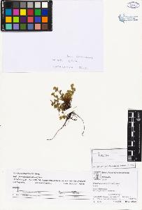SW_BNB_s3070-02496_IMG-0000000001