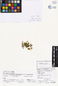 SW_BNB_s3070-02499_IMG-0000000001