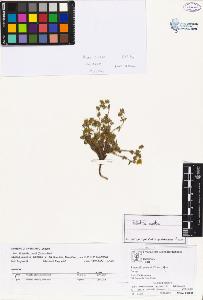 SW_BNB_s3070-02500_IMG-0000000001
