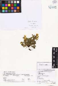 SW_BNB_s3070-02502_IMG-0000000001