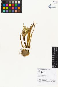 SW_BNB_s3070-02506_IMG-0000000001