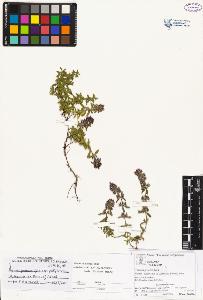 SW_BNB_s3070-02507_IMG-0000000001