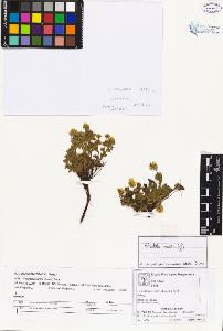 SW_BNB_s3070-02510_IMG-0000000001
