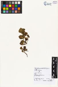 SW_BNB_s3070-02511_IMG-0000000001
