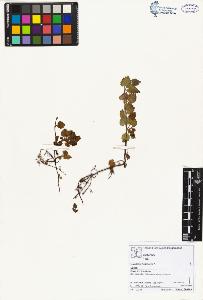 SW_BNB_s3070-02512_IMG-0000000001