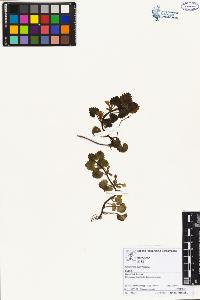SW_BNB_s3070-02513_IMG-0000000001