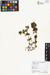 SW_BNB_s3070-02514_IMG-0000000001
