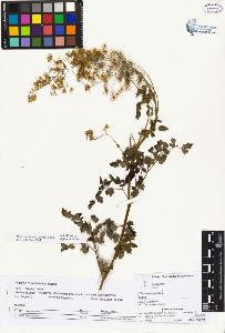 SW_BNB_s3070-02515_IMG-0000000001