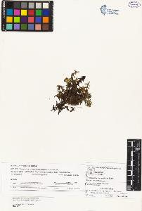 SW_BNB_s3070-02516_IMG-0000000001