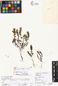 SW_BNB_s3070-02523_IMG-0000000001
