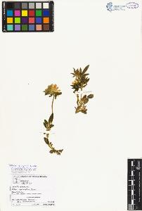 SW_BNB_s3070-02524_IMG-0000000001