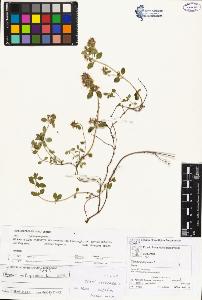 SW_BNB_s3070-02526_IMG-0000000001
