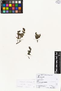 SW_BNB_s3070-02527_IMG-0000000001
