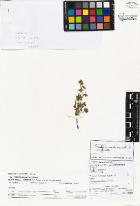 SW_BNB_s3070-02528_IMG-0000000001