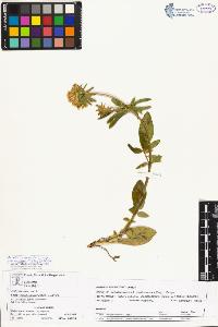 SW_BNB_s3070-02530_IMG-0000000001