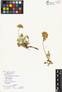 SW_BNB_s3070-02531_IMG-0000000001