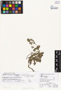 SW_BNB_s3070-02532_IMG-0000000001