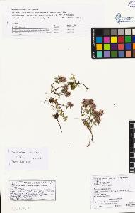 SW_BNB_s3070-02534_IMG-0000000001