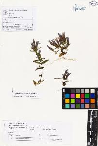 SW_BNB_s3070-02536_IMG-0000000001