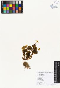 SW_BNB_s3070-02542_IMG-0000000001