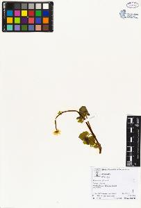 SW_BNB_s3070-02543_IMG-0000000001