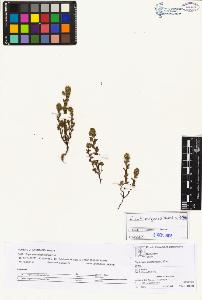 SW_BNB_s3070-02544_IMG-0000000001