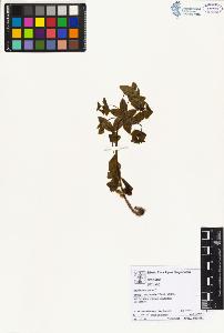 SW_BNB_s3070-02548_IMG-0000000001