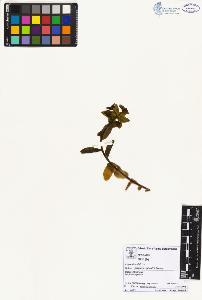 SW_BNB_s3070-02549_IMG-0000000001