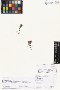 SW_BNB_s3070-02551_IMG-0000000001