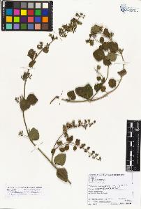 SW_BNB_s3070-02552_IMG-0000000001