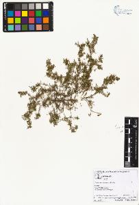 SW_BNB_s3070-02553_IMG-0000000001