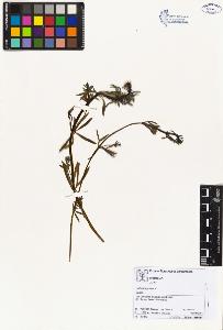 SW_BNB_s3070-02557_IMG-0000000001