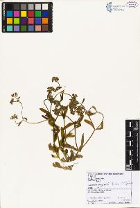 SW_BNB_s3070-02559_IMG-0000000001