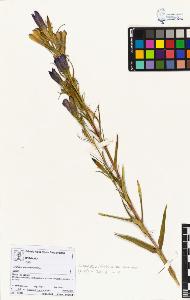 SW_BNB_s3070-02560_IMG-0000000001