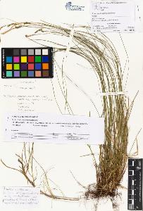 SW_BNB_s3070-02563_IMG-0000000001