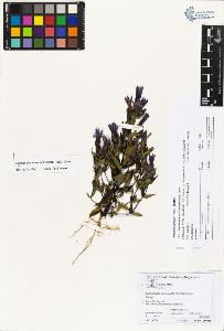 SW_BNB_s3070-02565_IMG-0000000001