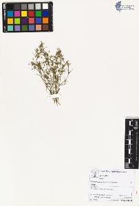 SW_BNB_s3070-02567_IMG-0000000001