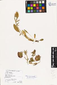SW_BNB_s3070-02569_IMG-0000000001