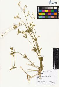 SW_BNB_s3070-02576_IMG-0000000001