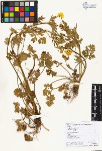 SW_BNB_s3070-02578_IMG-0000000001