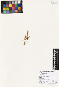 SW_BNB_s3070-02583_IMG-0000000001