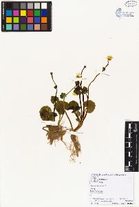 SW_BNB_s3070-02587_IMG-0000000001