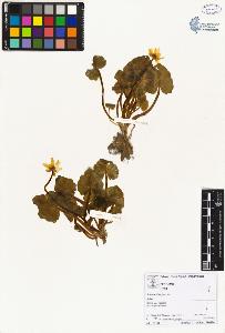 SW_BNB_s3070-02588_IMG-0000000001