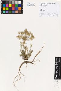 SW_BNB_s3070-02589_IMG-0000000001