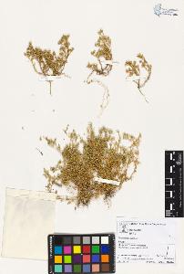 SW_BNB_s3070-02602_IMG-0000000001