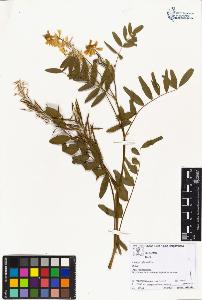 SW_BNB_s3070-02603_IMG-0000000001